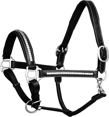 Exion Leather Horse Halter with Padding & Clincher Studs – Adjustable Quick‑Release Crownpiece