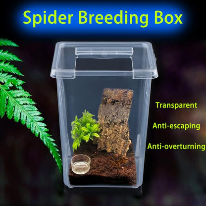 4 Pcs Insect Spider Terrariums Breeding Box Hatching Container Small Reptile Arboreal Spider Mantis