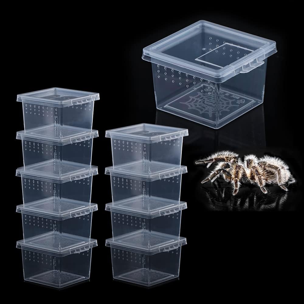 10 Pcs Insect Spider Terrariums Breeding Box Hatching Container Small Reptile Scorpion Centipede