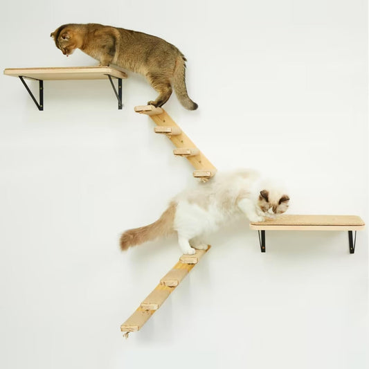 Cat Wall Furniture Set, 2PCS Cat Shelves & 2PCS 4 Steps Wall Shelves Stairs Tower Climbing