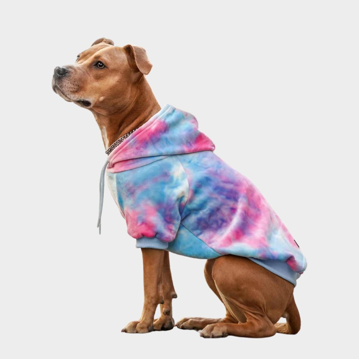 Spark Paws Dog Hoodie – Premium Dog Sweater for Small, Medium, and Large Dogs | Warm Outfits for