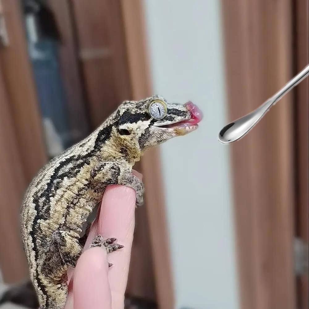 2Pcs Reptile Powder Fruit Mixing Stirring Food Feeding Spoon fit Crested Gecko Gargoyle Bearded