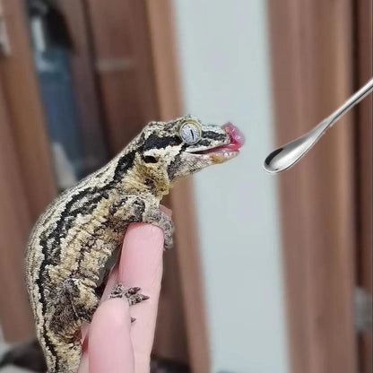 2Pcs Reptile Powder Fruit Mixing Stirring Food Feeding Spoon fit Crested Gecko Gargoyle Bearded