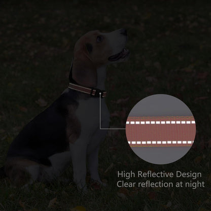Reflective Dog Collar Padded with Soft Neoprene Breathable Quick Release Basic Dog Collars for