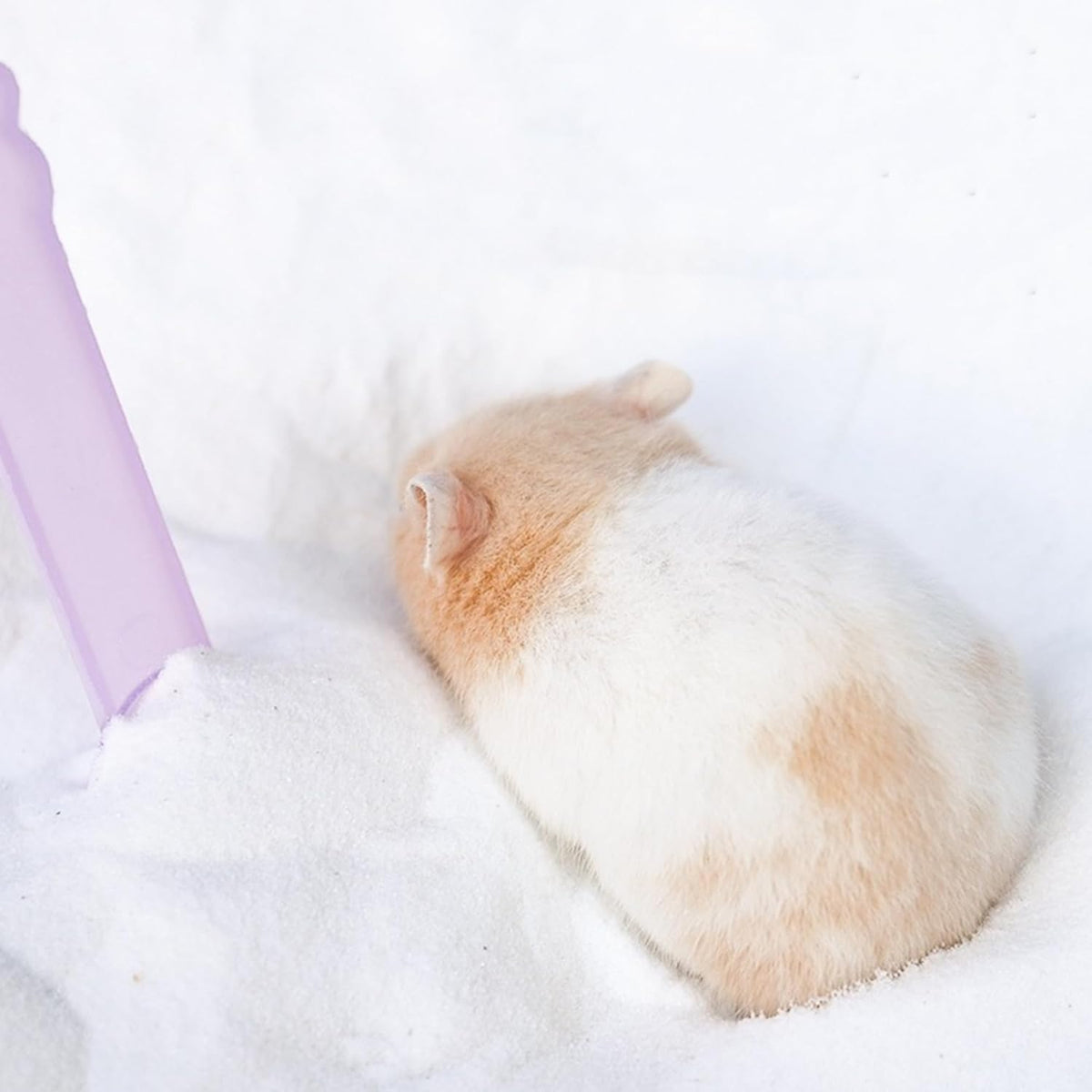 DR.DUDU Hamster Bath Sand, 2.8lb Dust Free Desert Sand or Potty Litter Sand for Hamster Chinchillas