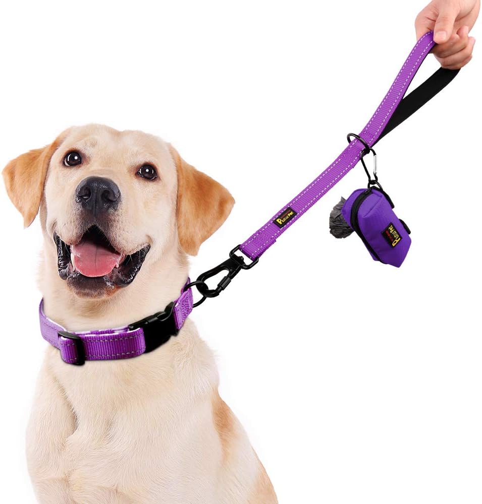 PLUTUS PET Short Training Dog Leash with Padded Handle for Medium Large Big Dogs,18 Inch Heavy Duty