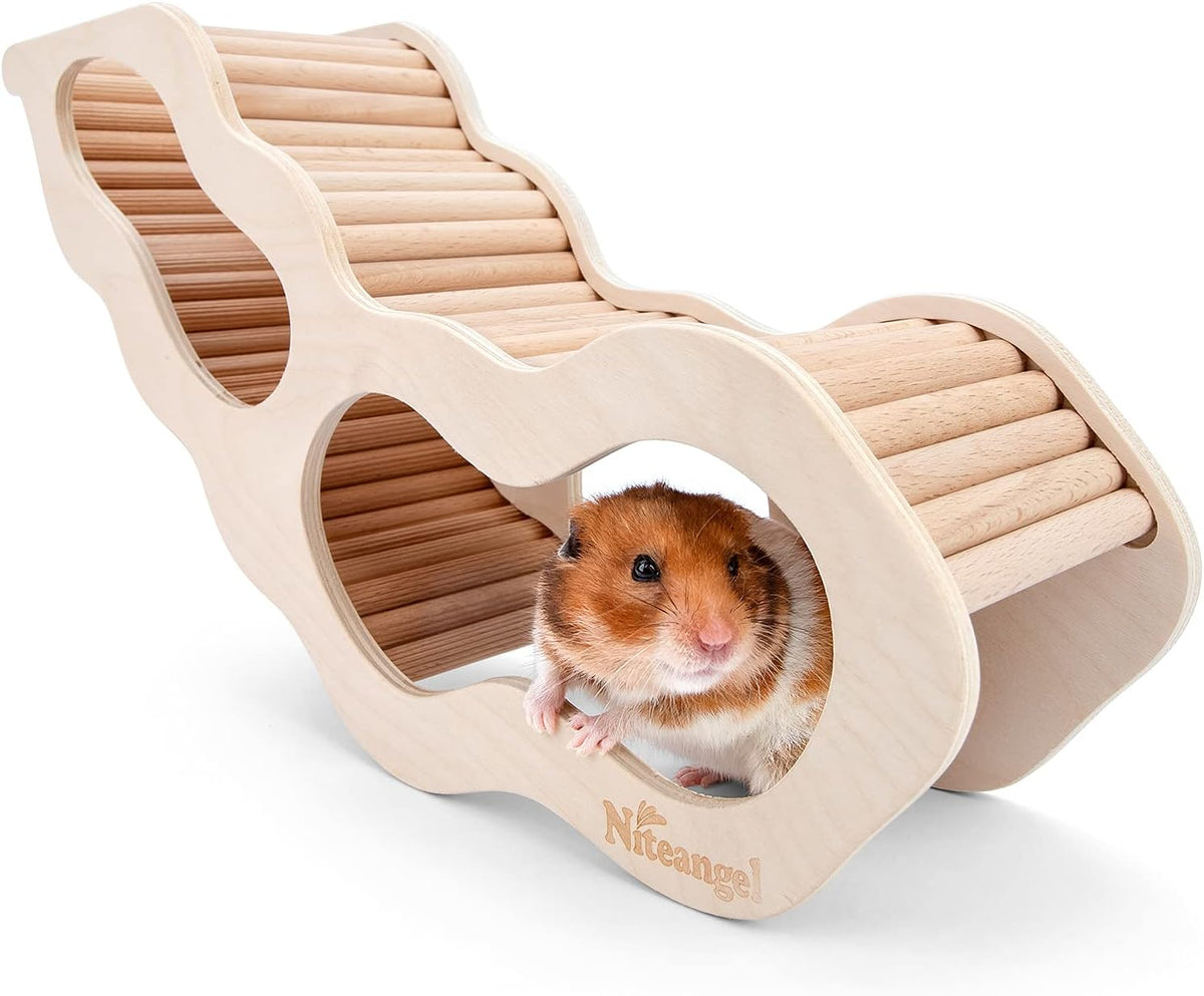 Niteangel Hamster House w/Climbing Ladder for Hamsters Gerbils Mice or Similar-Sized Pets (Secret