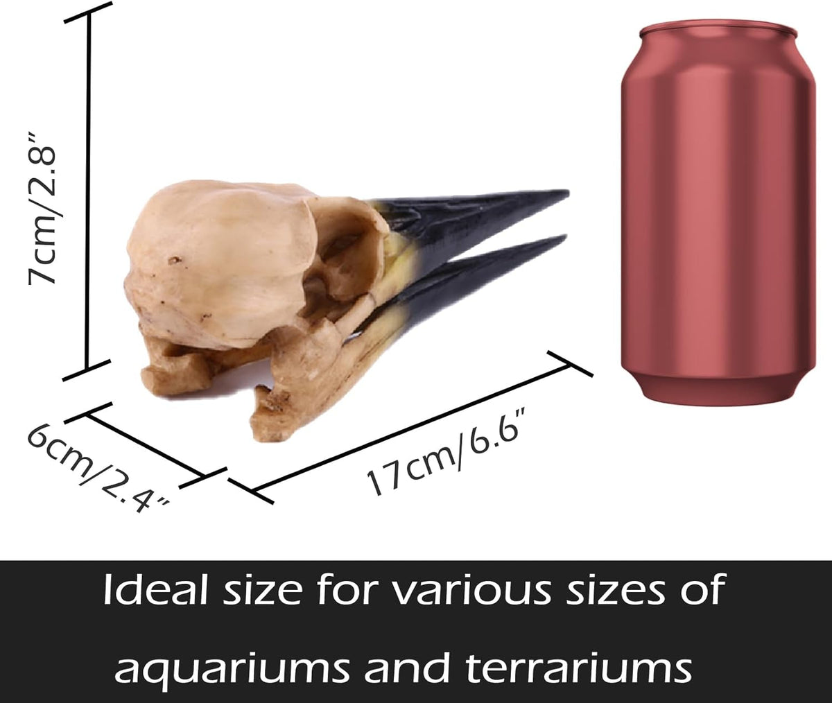 Fish Cave Hideout Ornament Décor for Terrarium Dinosaur Animal Skull Aquarium Large Decorations
