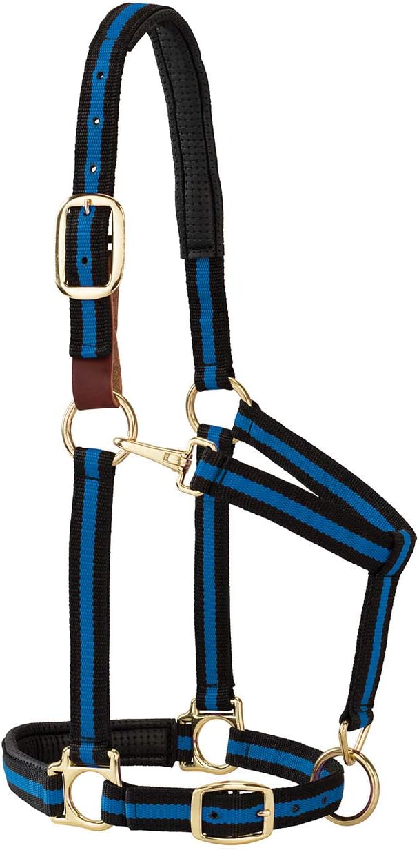Weaver Equine Breakaway Horse Halter, Comfort Foam Padding, Adjustable Chin & Throat Snap Halters