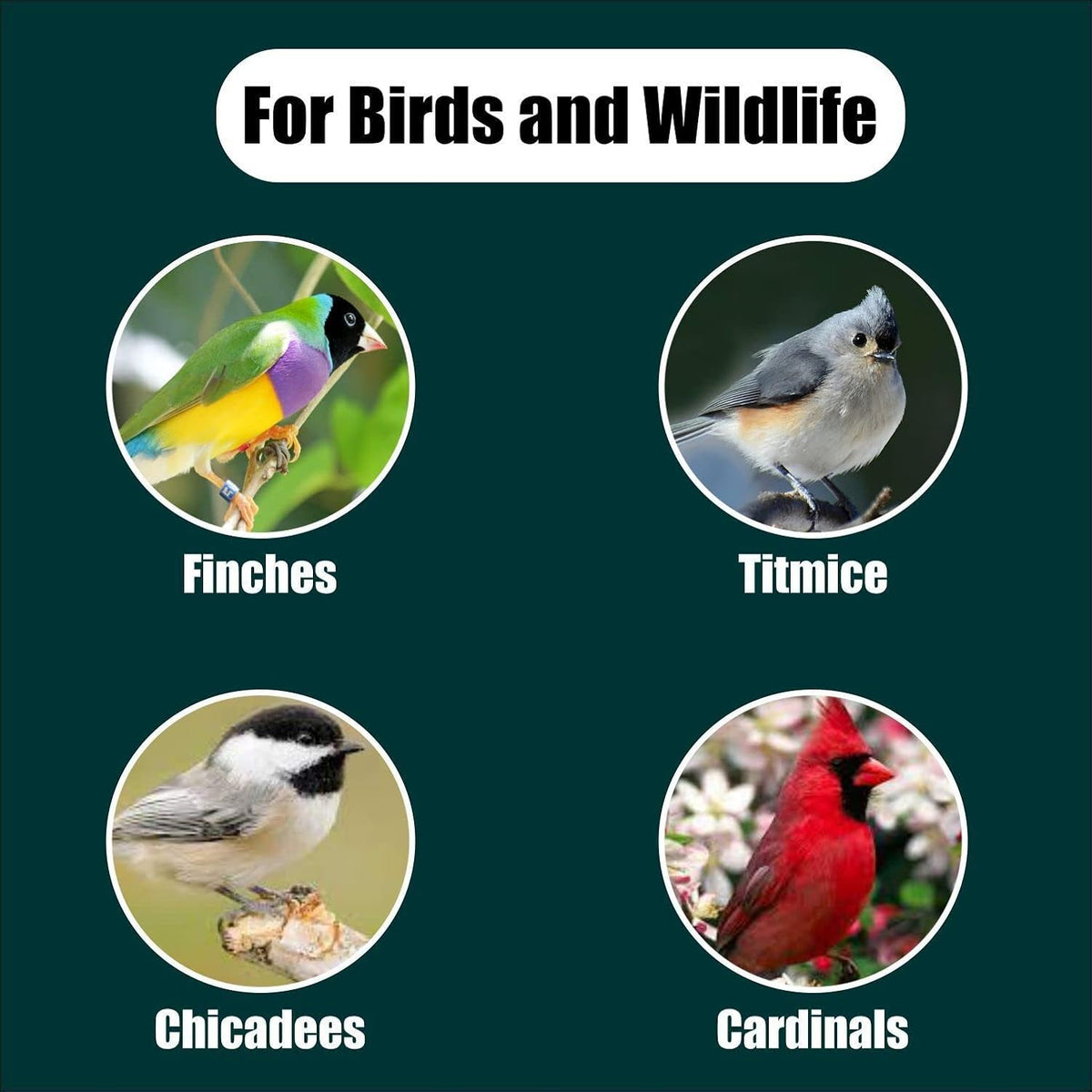 Wildlife Black Oil Sunflower Seeds for Birds and Wildlife, Non-GMO & USA Grown on Small Farms (25