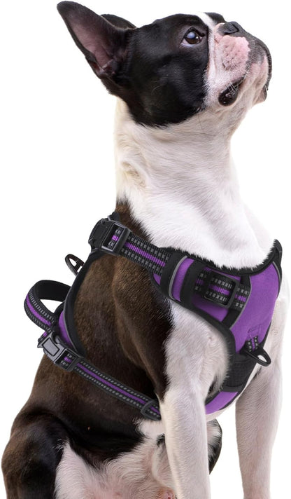 PUPTECK No Pull Dog Harness Small Sized, Adjustable Reflective Dog Harness with Handle Easy