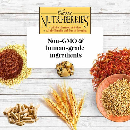 LAFEBER'S Classic Nutri-Berries Pet Bird Food, Made with Non-GMO and Human-Grade Ingredients, for