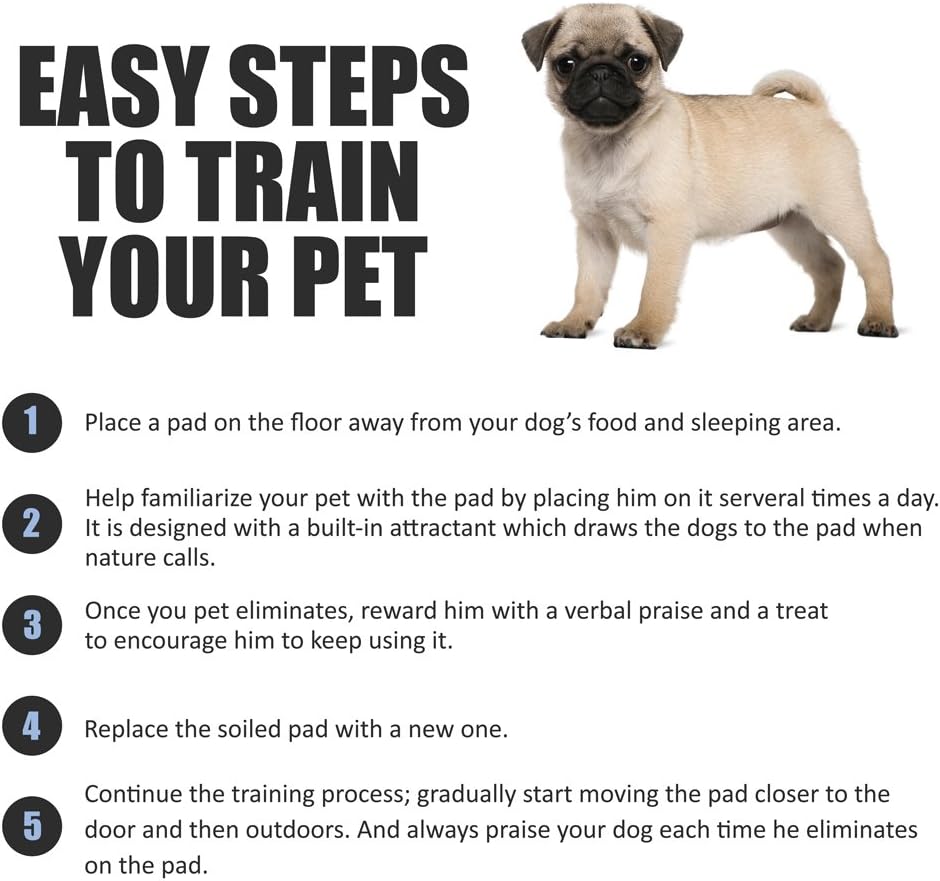 BV Puppy Pads XL 320 Count 28"x34" - Leak-Proof Pee Pads for Dogs with 6-Layer Design, Rapid Dry