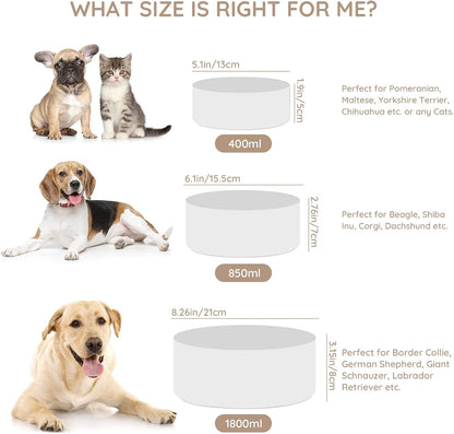 SPUNKYJUNKY Ceramic Dog and Cat Bowl Set with Wooden Stand, Modern Cute Weighted Food Water Set for