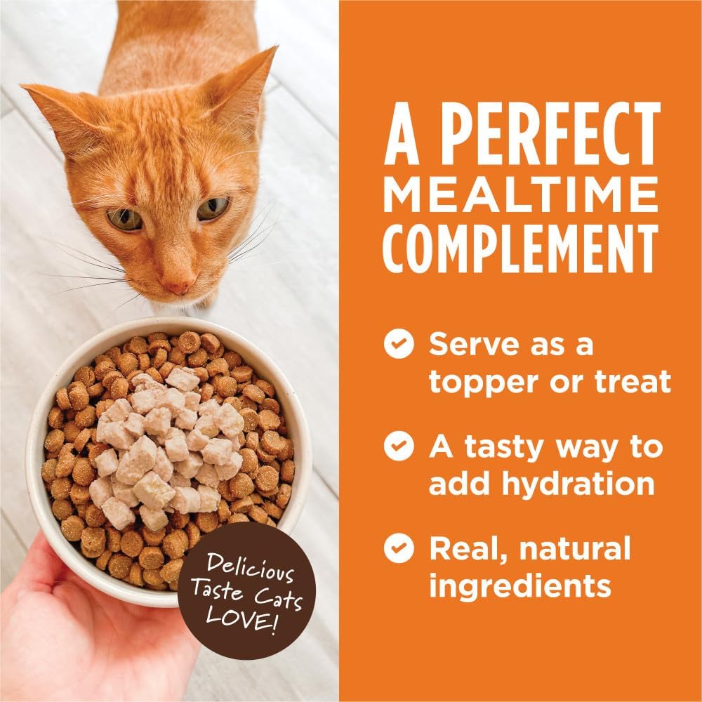 Instinct Healthy Cravings Grain Free Real Chicken Recipe Natural Wet Cat Food Topper by Nature's