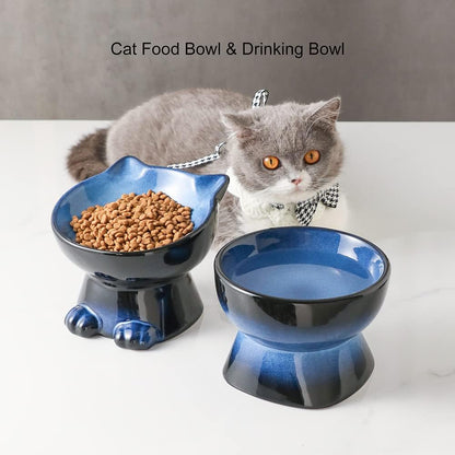 Nihow Elevated Cat/Dog Bowls Set : 6.2 Inch Ceramic Raised Cat Food & Water Bowl Set for Protecting