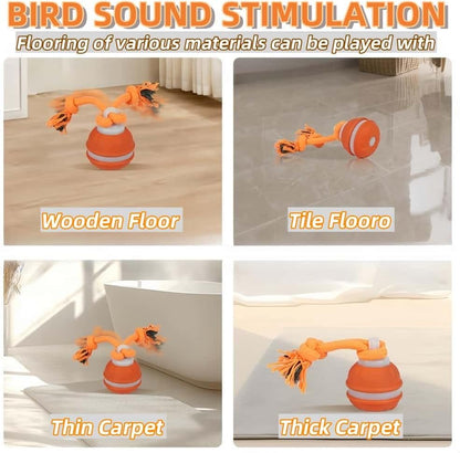 Interactive Dog Toys, Squeaky Dog Toys, Active Rolling Ball for Puppy and Medium Dogs, Squeaky, USB