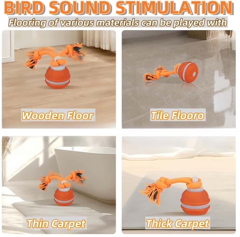 Interactive Dog Toys, Squeaky Dog Toys, Active Rolling Ball for Puppy and Medium Dogs, Squeaky, USB