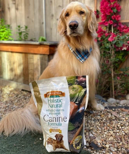 Bench & Field Holistic Natural Adult Dry Dog Food, Chicken Meal and Brown Rice Recipe 12 lb Bag