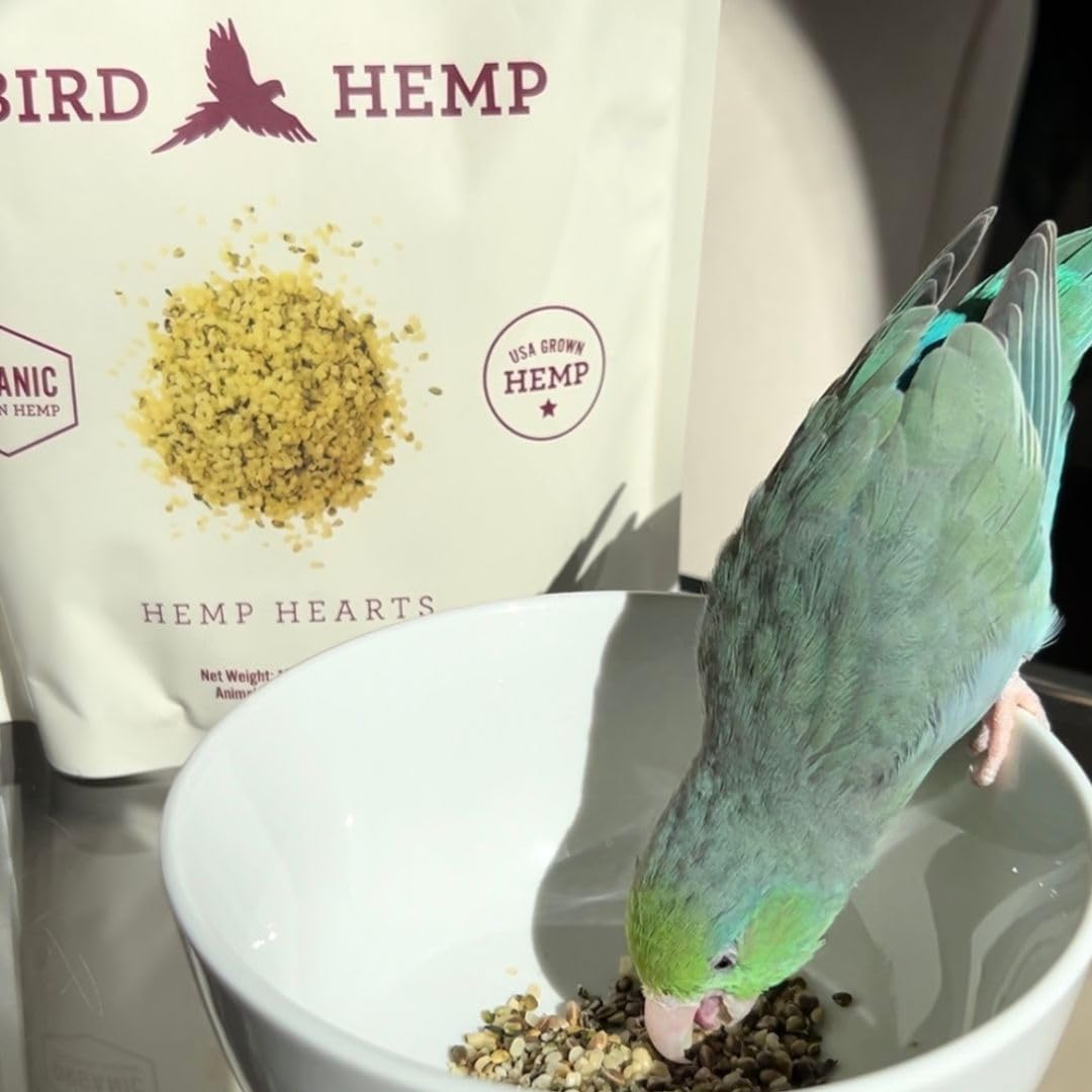 Hemp Well Organic Hemp Hearts –Reduces Feather Plucking, Promotes Relaxation, Immune Support