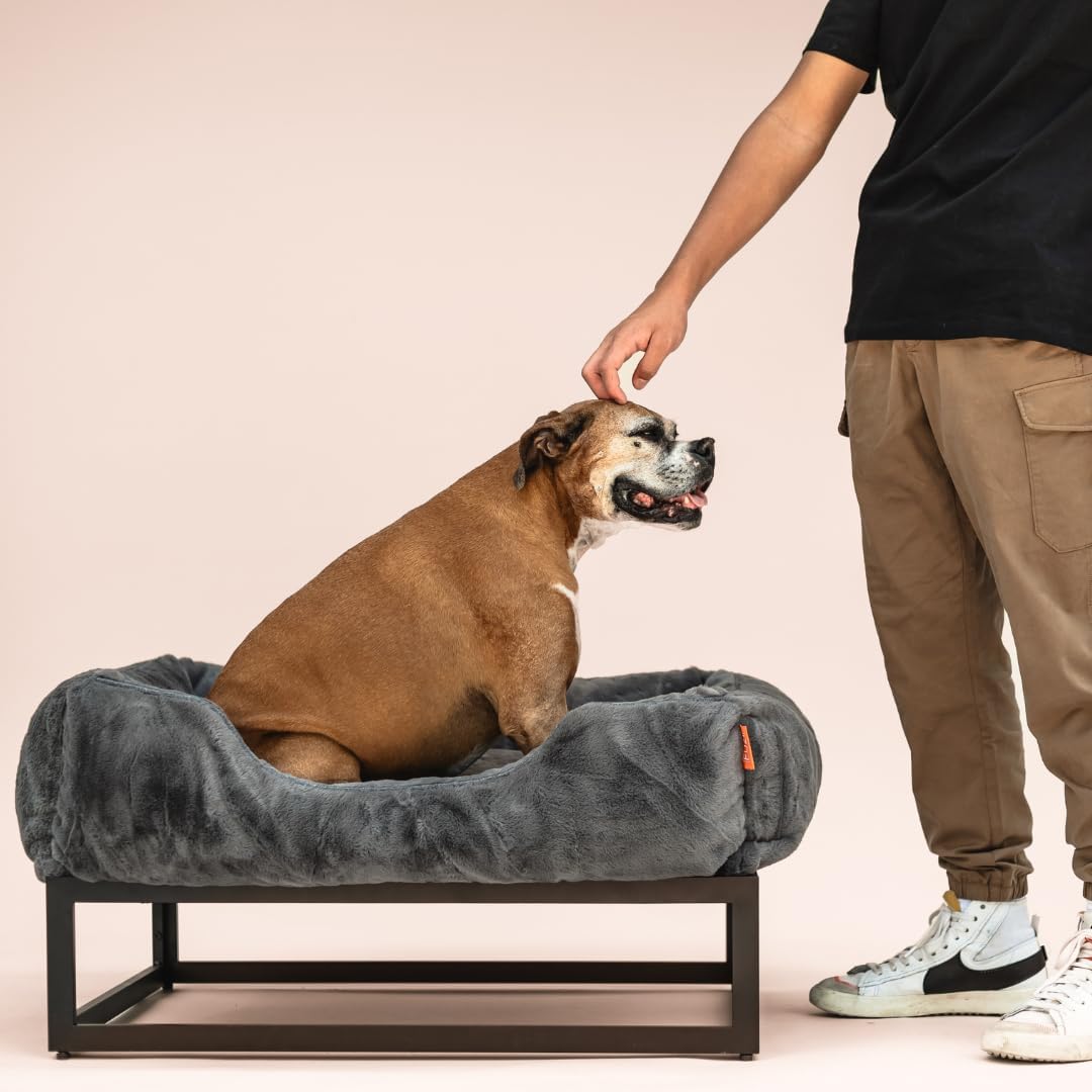 FUZI Luxury Aesthetic Dog Bed for Small Dogs with Washable Cover, Pet Couch, Pet Bed with Sides