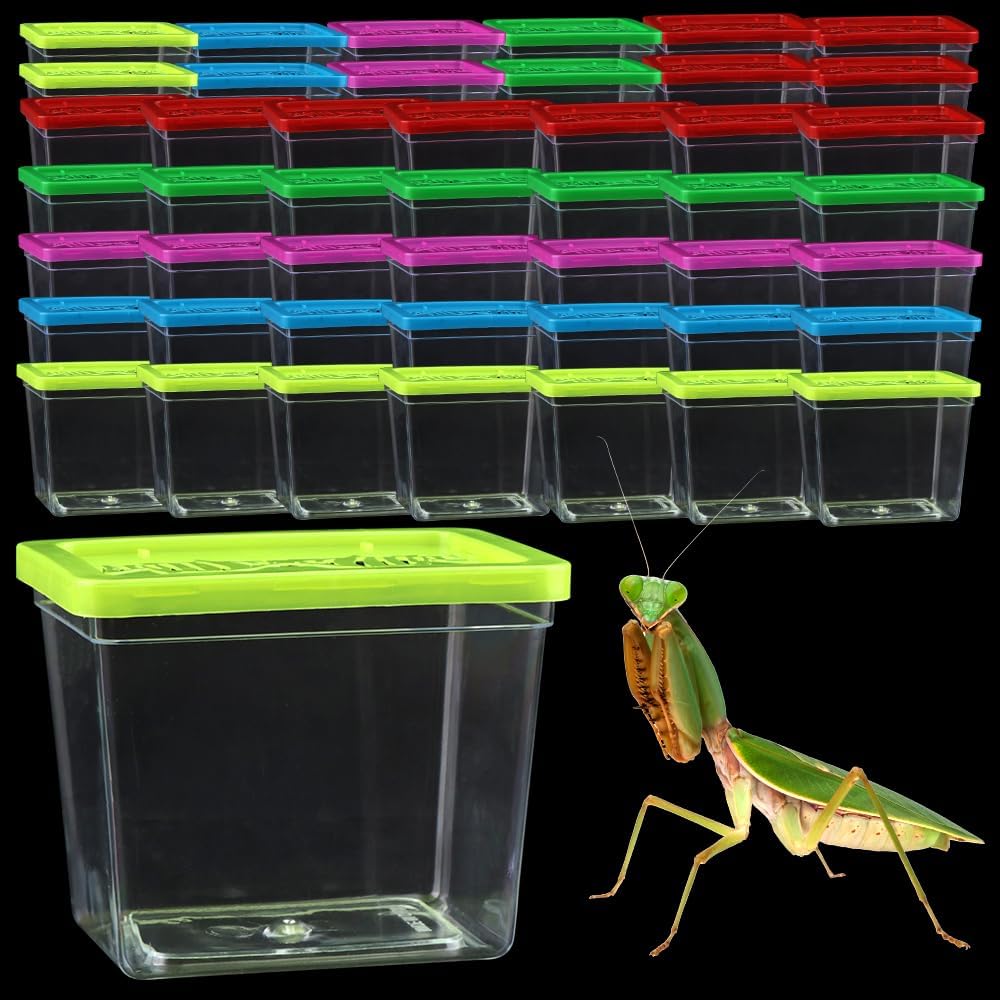 48 Pack Small Plastic Reptile Carrier Tarantula Enclosure Breeding Box Hatching Container for