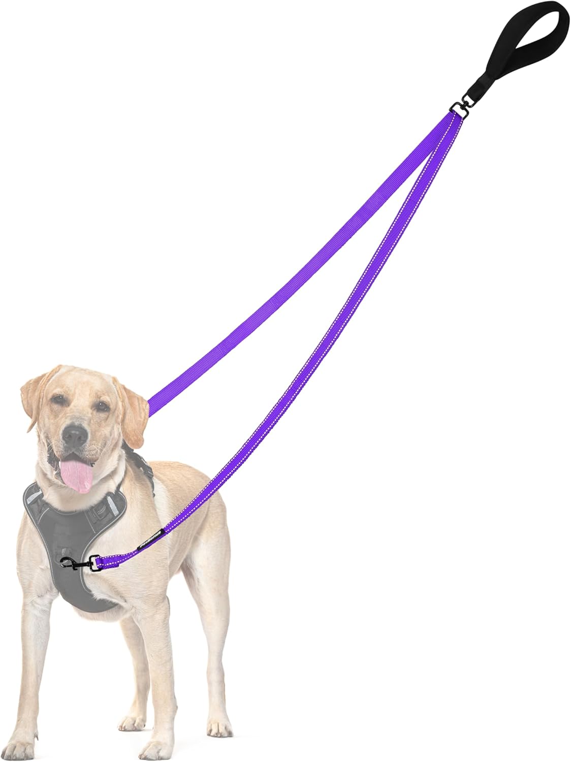 PetBonus Two Point Control Dog Leash, Works with No Pull Harnesses, No Tangle Dog Training Leashes