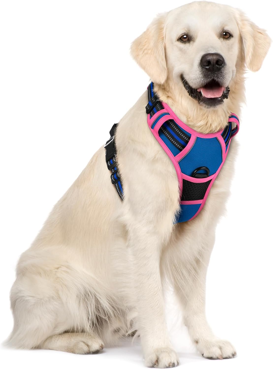 rabbitgoo Dog Harness No Pull with 2 Leash Clips, Adjustable Soft Padded, Reflective Oxford No