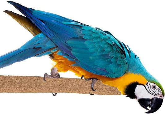 Super Bird Creations SB1154 Sure-Grip Grooming Perch Extra Large, Large/XL Bird Size - Enriches