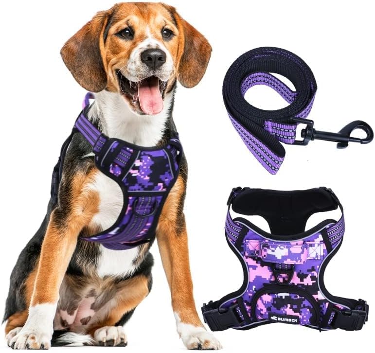 No Pull Dog Harness for Large Dogs, Adjustable No Choke Pet Vest with Dog Leash Fit Smart