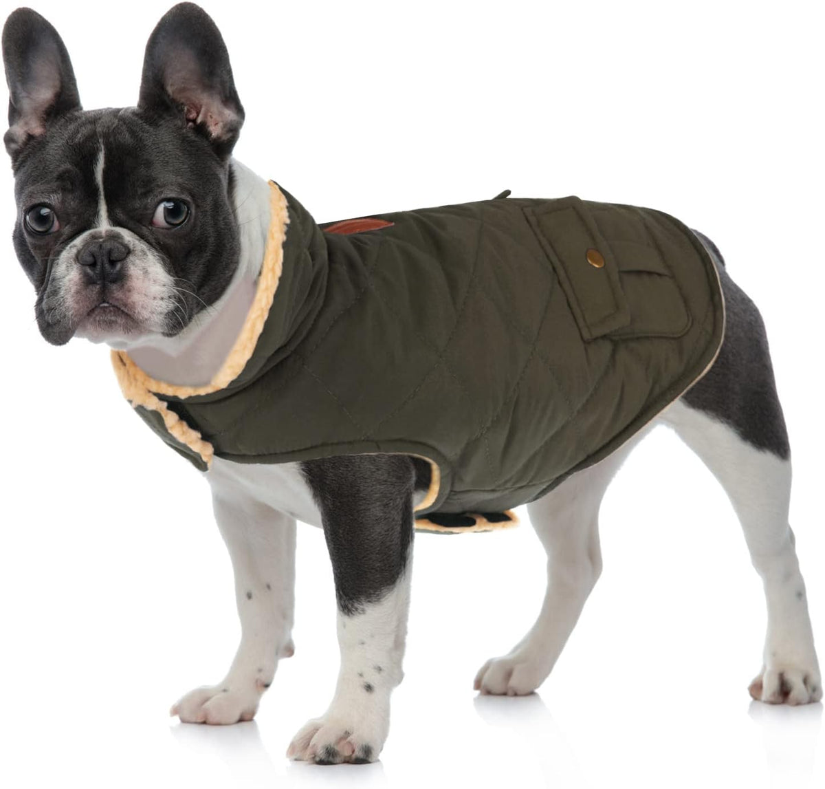 Queenmore Warm Dog Coat, Cold Weather Puffer Dog Coat, Quilting Winter Dog Jacket Ultra Thick Plush