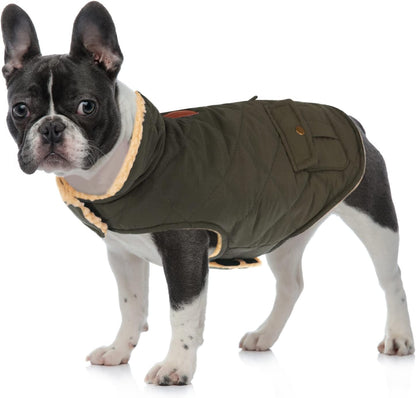 Queenmore Warm Puffer Dog Coat, Quilting Winter Jacket Ultra Thick Plush Lining with Storage