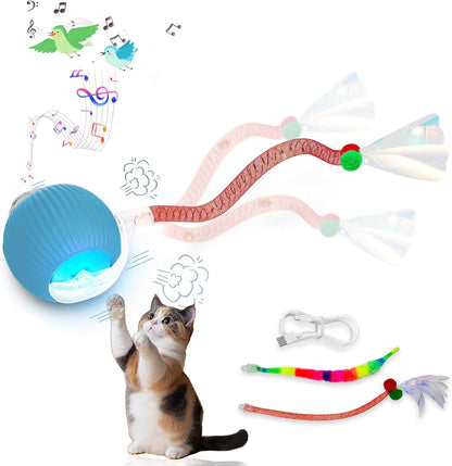 New Upgraded Cat Ball Toy - Speedy Tail 2.0 Cat Toy, Interactive Cat Toy Ball, Stimulating Toys and