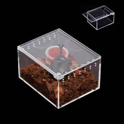 Insect breeding Box Reptile Feeding Box, Waterproof Enclosure Enclosure for arboreal Tarantula