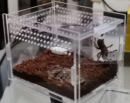 Magnetic Acrylic Case, micro habitat small Tarantula Enclosure enclosure for arboreal Tarantula