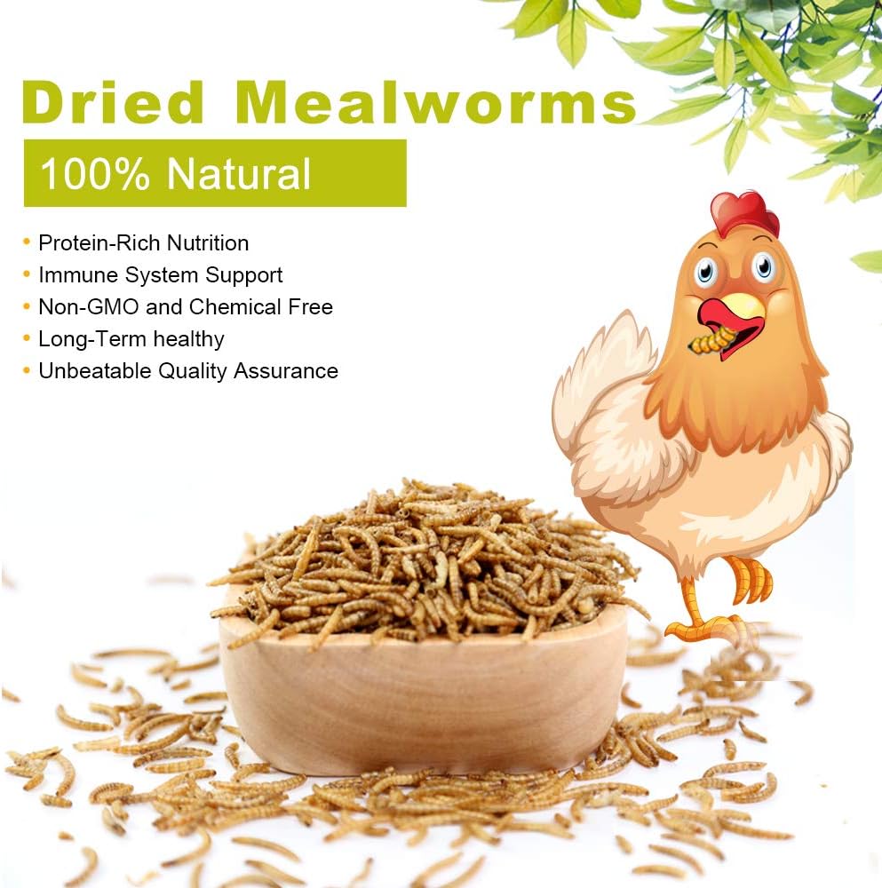 Dried Mealworms 5Lbs, High-Protein Bulk Mealworms, 100% Non-GMO Mealworm Treats for Birds