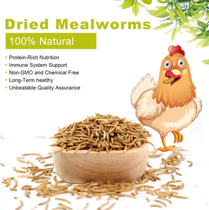 Dried Mealworms 5Lbs, High-Protein Bulk Mealworms, 100% Non-GMO Mealworm Treats for Birds