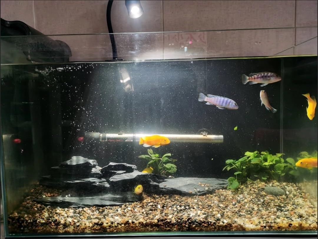 Natural Slate Stone Rocks 2 to 6 inch Aquariums Stone for Aquascaping,Terrariums,Reptile