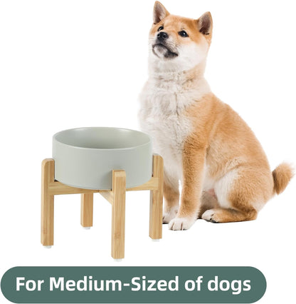 Ceramic Raised Dog Bowl Set, Elevated with Stand, Food and Water Bowl for Medium Breed Dogs