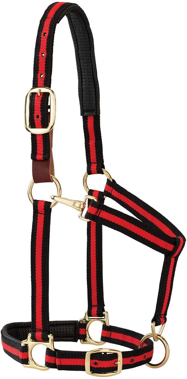 Weaver Equine Breakaway Horse Halter, Comfort Foam Padding, Adjustable Chin & Throat Snap Halters