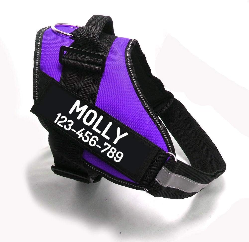 PawPawify Custom No Pull Dog Harness with Name and Phone Number, Heavy Duty Personalized Pet Vest