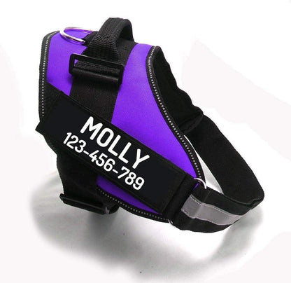 PawPawify Custom No Pull Dog Harness with Name and Phone Number, Heavy Duty Personalized Pet Vest