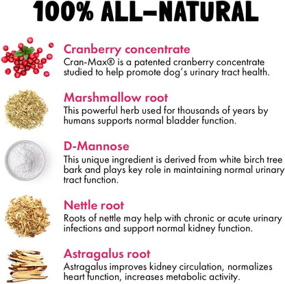 Cranberry UTI Chews for Dogs Bladder Support + D-Mannose Supports Kidney Urinary Tract and Bladder