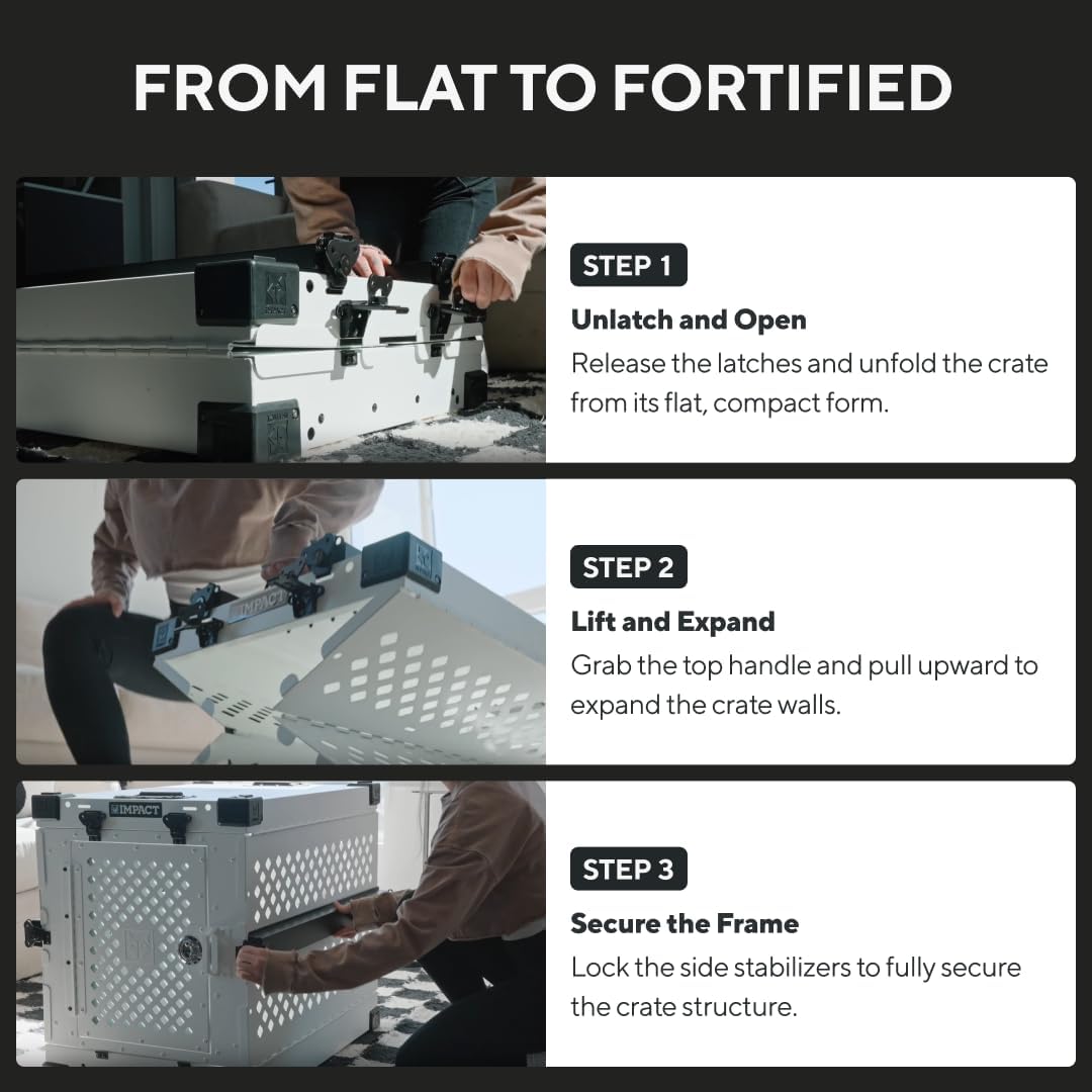 Impact Collapsible Dog Crate - Foldable Hard Crate for Intermediate Dogs - Heavy Duty Travel Kennel