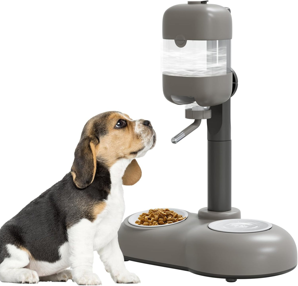 Puppy Bowls for Small Dogs,3 in 1 Bowl Set with Puppy Water Bottle and 2 Food Grade Ceramic