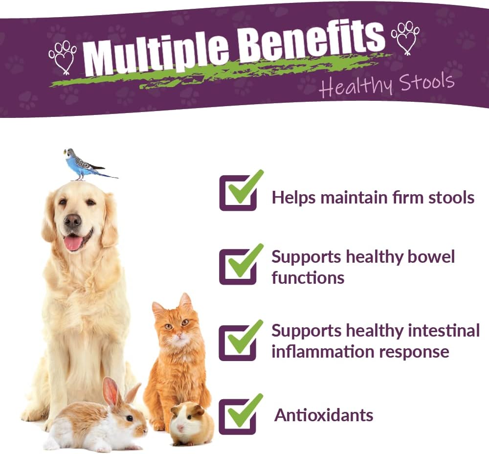Amber NaturalZ Kochi Free Herbal Supplement for Dogs, Cats, Birds, Rabbits, and Guinea Pigs |