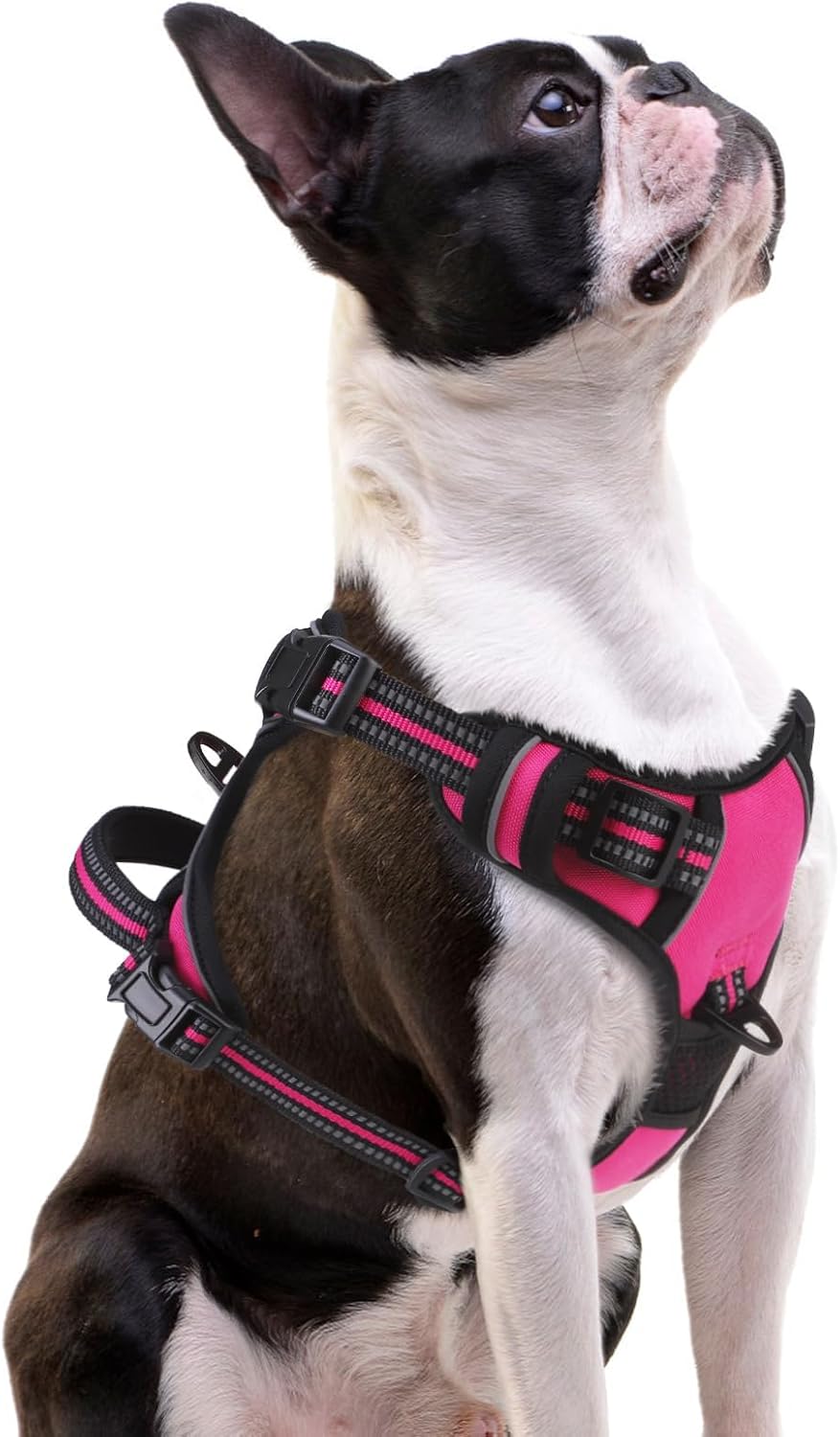 PUPTECK No Pull Dog Harness Small Sized, Adjustable Reflective Dog Harness with Handle Easy