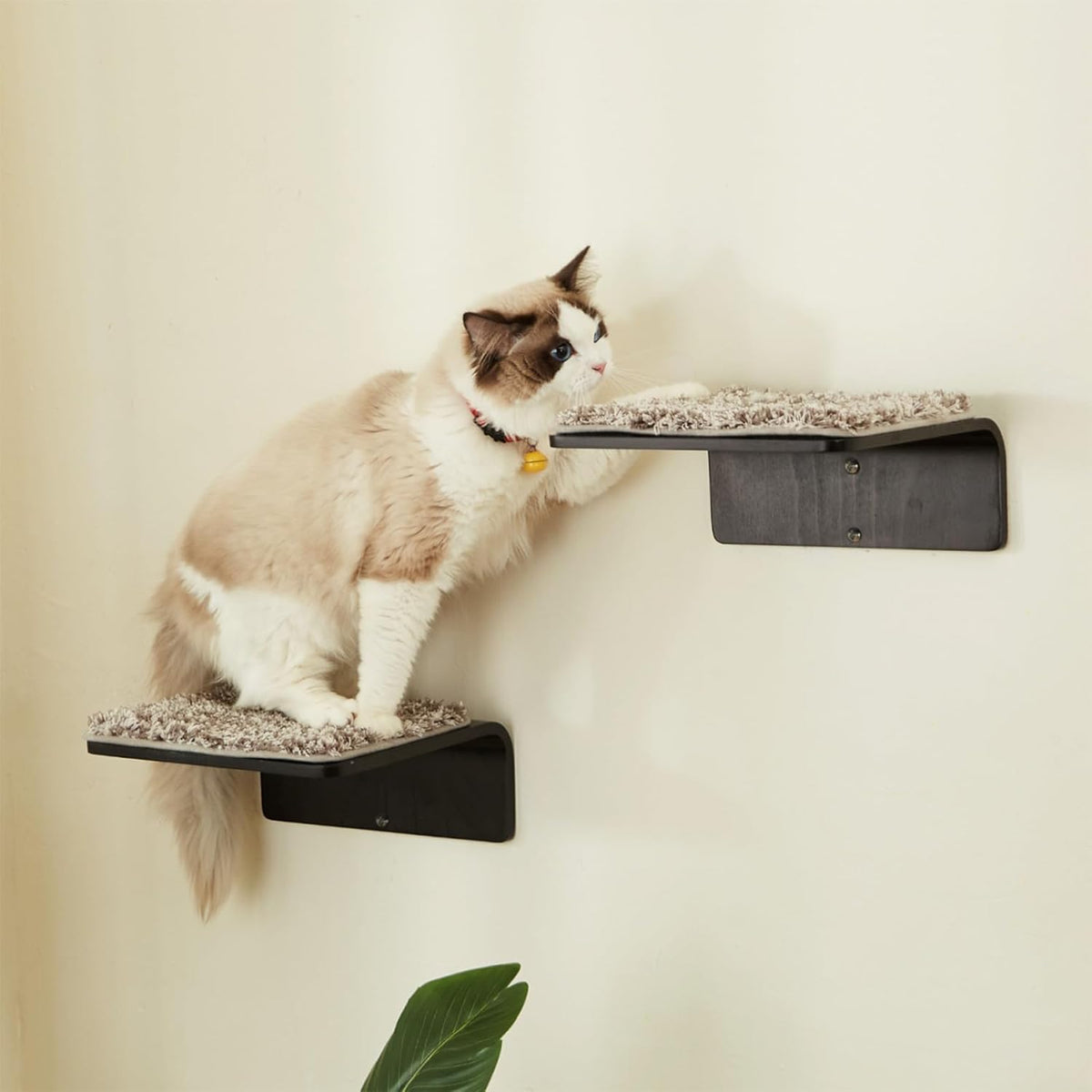 2 Set Cat Wall Steps - Wooden Cat Climbing Shelf for Wall - Cats Wall Stairs with Scratching Mat