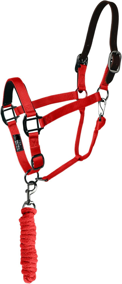 Majestic Ally Leather Halter with Matching Lead Rope for Horses – Leather Breakaway Crown