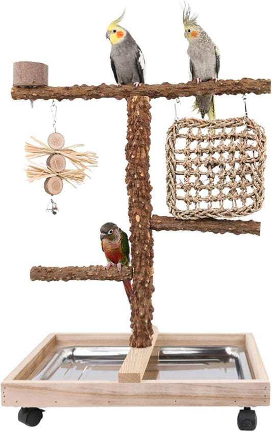 Natural Wood Parrot Stand - Ideal Toy & Accessory for Parakeets, Canaries, Cockatiels, Conure
